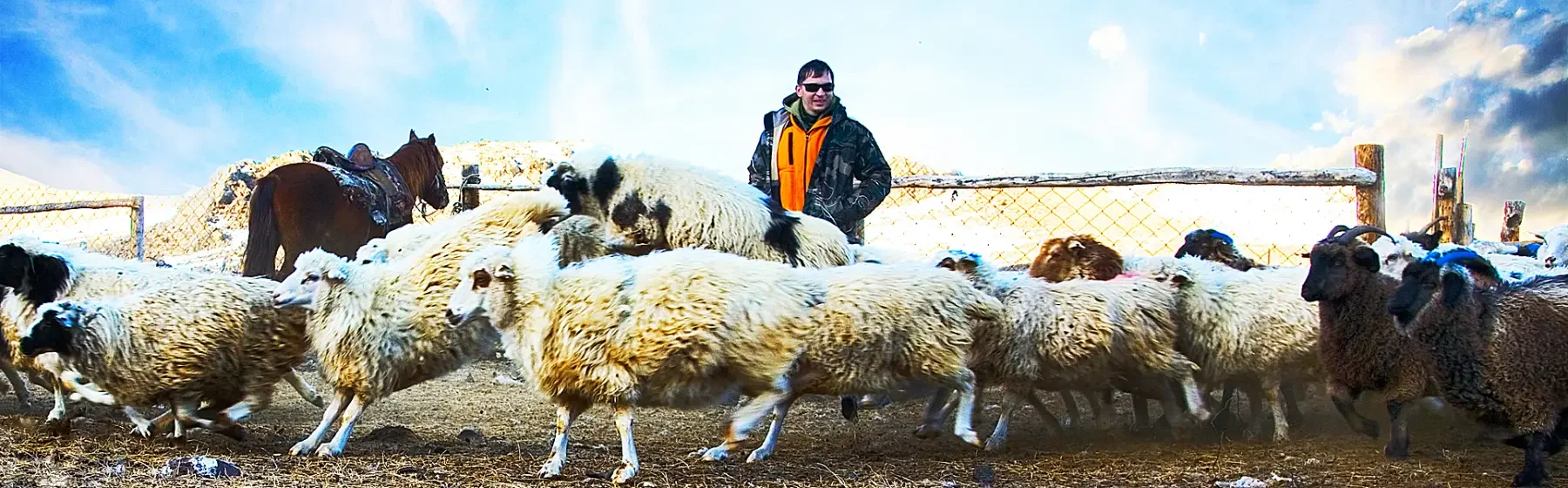 Что попробовать на Алтае: | местные особености продукты
