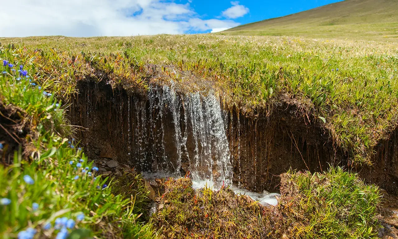 Вода стекает с травяного склона в ручей.